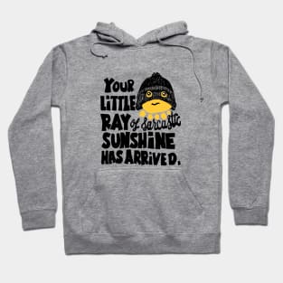 Your little ray of sarcastic sunshine funny slogan Hoodie